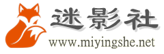 图片文本描述